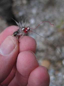 Coming loose Coming loose