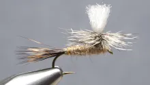 Video thumb for Hare's Ear Parachute