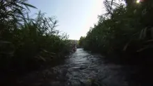 Video thumb for Summertime Smallmouth 