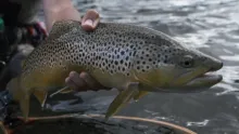 Video thumb for Gunnison Gorge