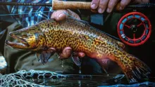 Video thumb for Fly Fish Utah