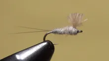 Video thumb for RS2