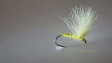 Video thumb for CDC Yellow May Dun