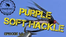 Video thumb for Purple Soft Hackle