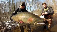 Video thumb for Still Winter