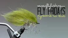 Video thumb for Jan's Pyramid Tui Chub