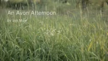 Video thumb for An Avon Afternoon