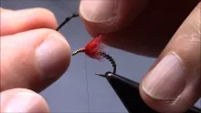 Video thumb for Duckfly Variant
