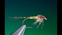 Video thumb for Generic mayfly nymph