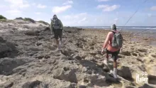 Video thumb for 9 degrees south - The Land of Giants