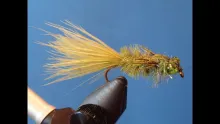Video thumb for Damselfly Nymph