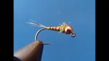 Video thumb for The Trailer