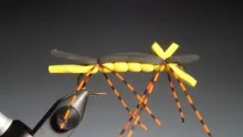 Video thumb for Chernobyl ant