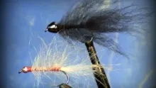 Video thumb for Simi Seal Leech 