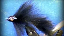 Video thumb for Black Bunny Leech w/Fish Skull 