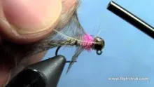 Video thumb for Czeched Out Hare's Ear