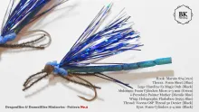 Video thumb for Damselfly Adult