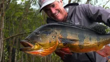 Video thumb for Amazon Peacock Bass - Jungle Fly Fishing