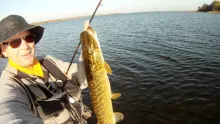 Video thumb for 11-10-25 several pikes