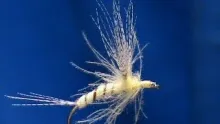 Video thumb for Light Cahill Emerger Cripple