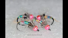 Video thumb for Rainbow Warrior Nymph