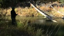 Video thumb for Back Country Fly Fishing in Cypress Hills