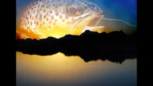 Video thumb for Fishing - This is my passion