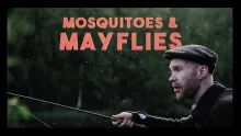 Video thumb for The Act Of Killing Trout