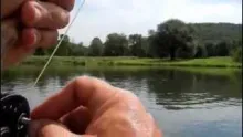 Video thumb for Dos Lobos Hitting the Fall Ant Hatch