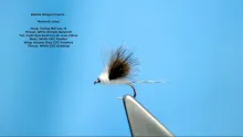 Video thumb for Bubble Wing Caenis