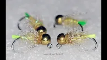 Video thumb for Golden Olive Hare nymph