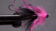Video thumb for Douglas Salmon Camp Swinger