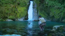 Video thumb for The Source - NZ