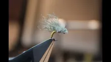 Video thumb for CDC Emeger with woven body