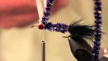 Video thumb for Icewater Leech