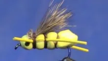 Video thumb for Charlie Boy Hopper
