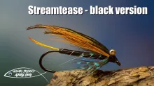 Video thumb for Streamtease