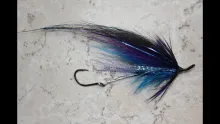 Video thumb for Stinger Fly