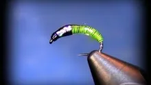 Video thumb for Ian's Brass Ass nymph