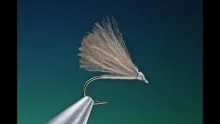 Video thumb for F-fly