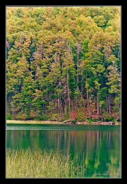 User submitted picture: Lake Nonthue,San MartÃn d...