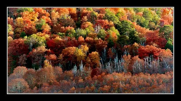 User submitted picture: Autum´s colours,San MartÃ...