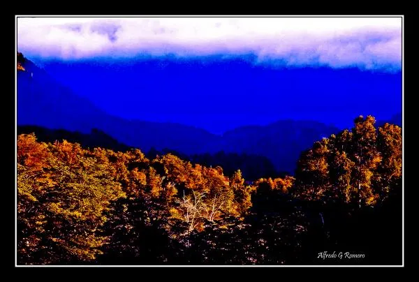 User submitted picture: San MartÃn de los Andes, ...
