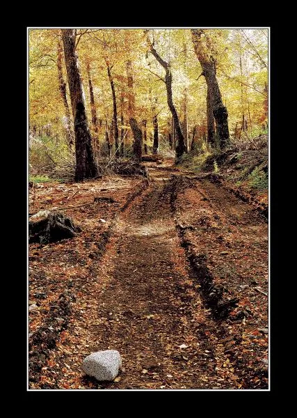 User submitted picture: Autum´s Colours II,San Ma...